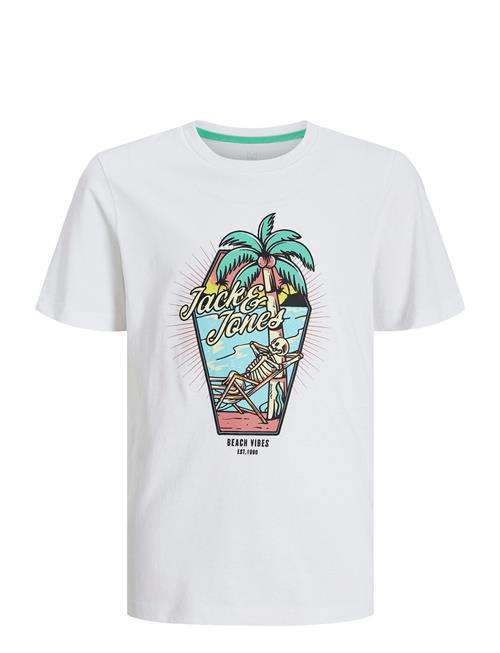 Jack & Jones | Jjelijah Tee Ss Crew Neck Jnr | 152