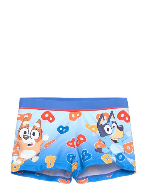 Bluey | Swimsuit | 116