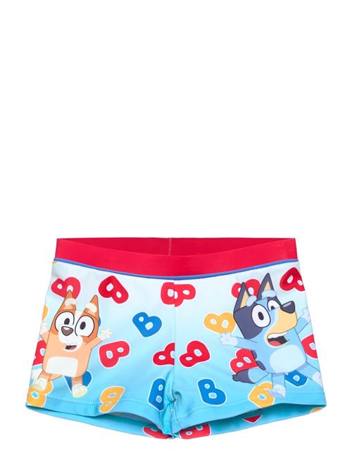 Bluey | Swimsuit | 110