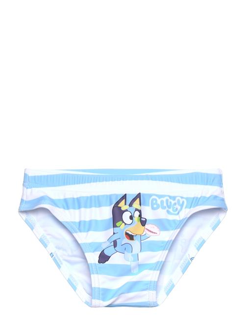 Bluey | Swimsuit | 104