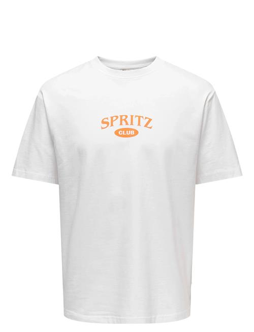 ONLY & SONS | Onsspritz Italy Rlx Ss Tee | M
