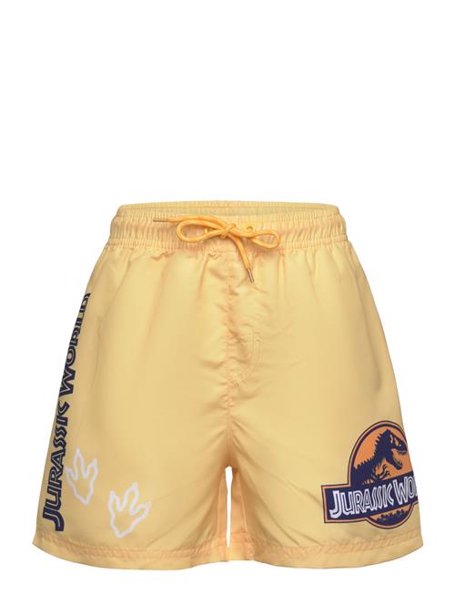 Sun City Jurassic Park | Swimsuit | 116