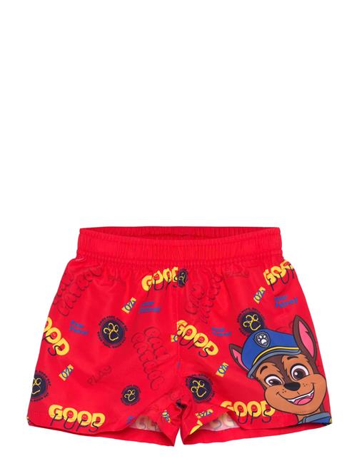 Paw Patrol | Swimsuit | 98