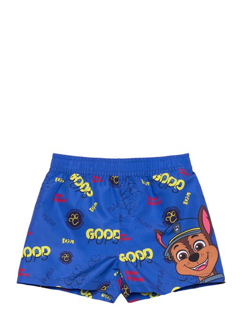 Paw Patrol | Swimsuit | 116
