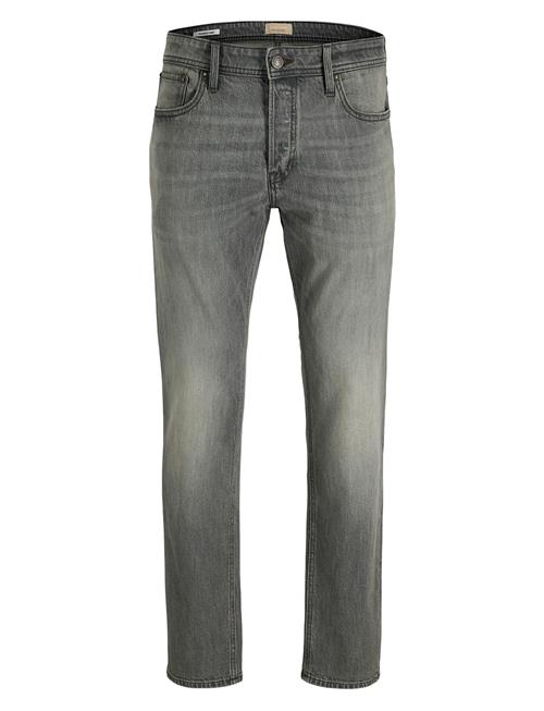 Jack & Jones | Jjimike Jjoriginal Sbd 558 | 28 x 30