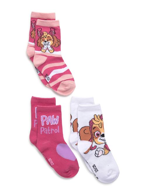 Paw Patrol | Socks | 31/34