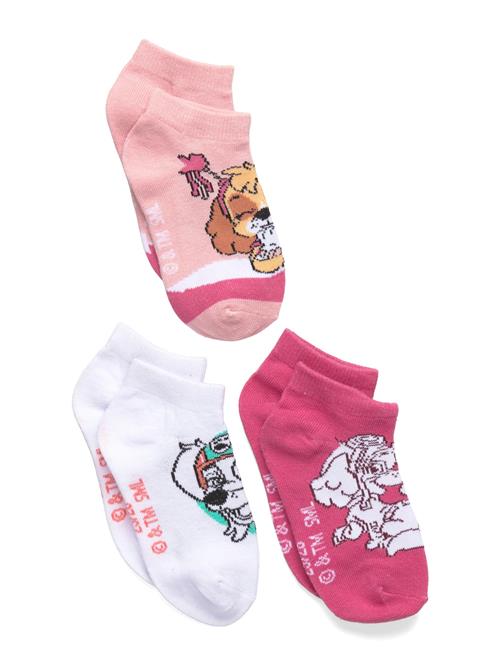 Paw Patrol | Socks | 31/34