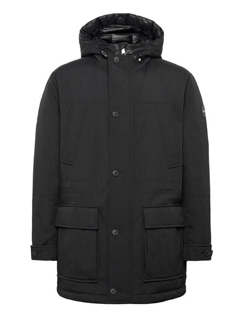 BOSS | H-Detoni | 50