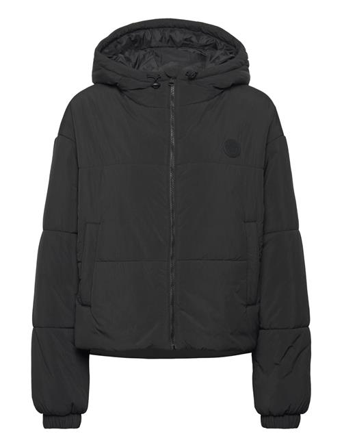 HUGO BLUE | Freya-1_B | M