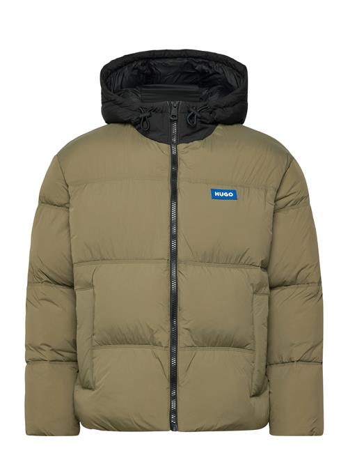 HUGO BLUE | Bodo2541 | M