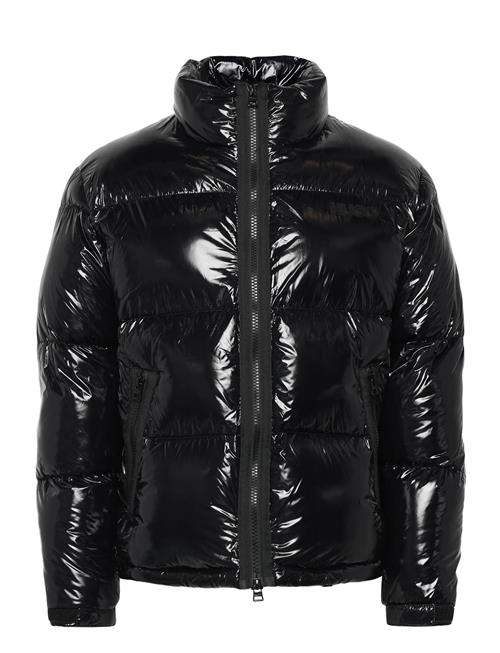 HUGO | Biron2541 | XL