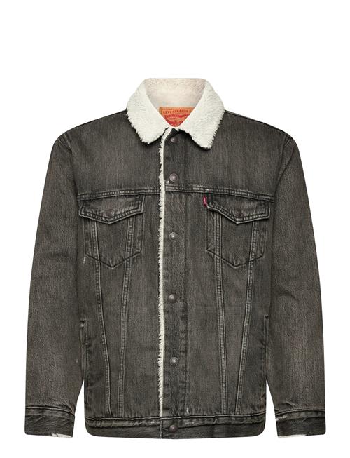 Levi's® | Relaxed Fit Sherpa Trkr Salt L | M