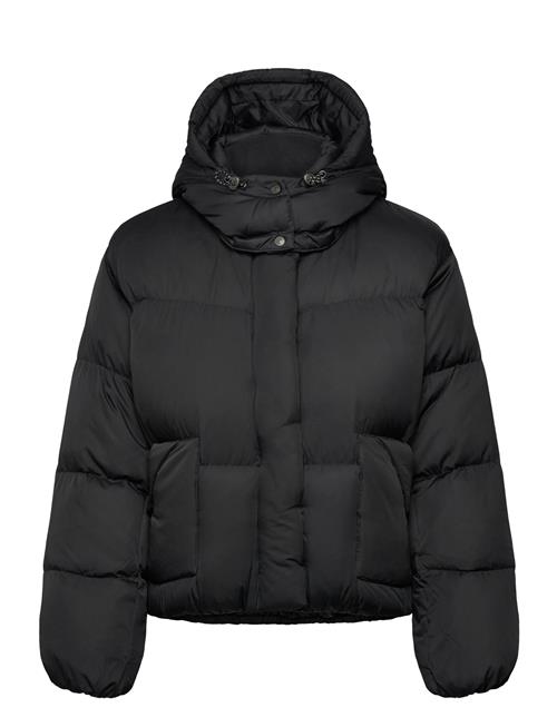 Levi's® | Western Bubble Shortie Anthrac | XS