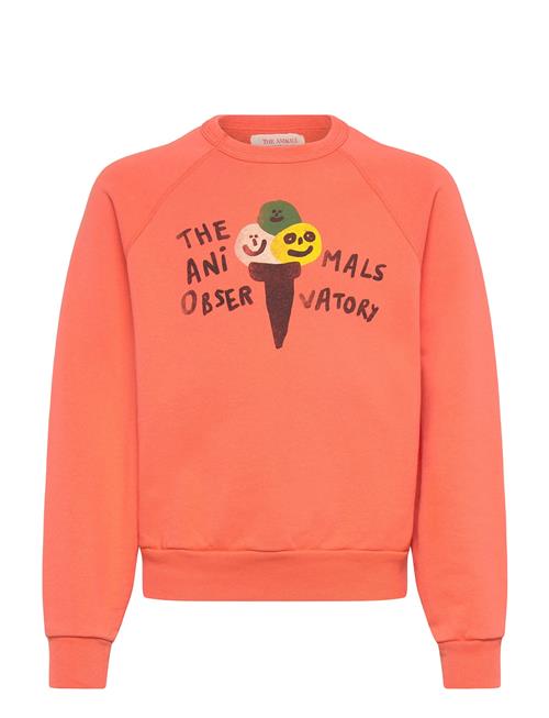 THE ANIMALS OBSERVATORY | Shark Kid Sweatshirt Salmon | 8 Y