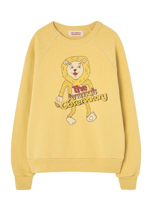 THE ANIMALS OBSERVATORY | Shark Kid Sweatshirt Yellow | 3 Y