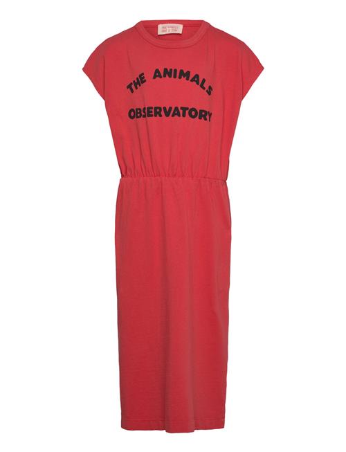 THE ANIMALS OBSERVATORY | Orca Kid Midi Dress Red | 6 Y