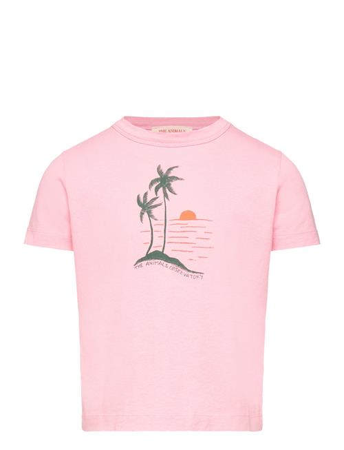 THE ANIMALS OBSERVATORY | Big Rooster Kid T-Shirt Pink 6Y | 3 Y