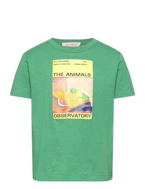 THE ANIMALS OBSERVATORY | Big Rooster Kid T-Shirt Green 8Y | 2 Y