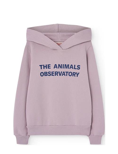THE ANIMALS OBSERVATORY | Taurus Kid Hoodie Lavand | 3 Y