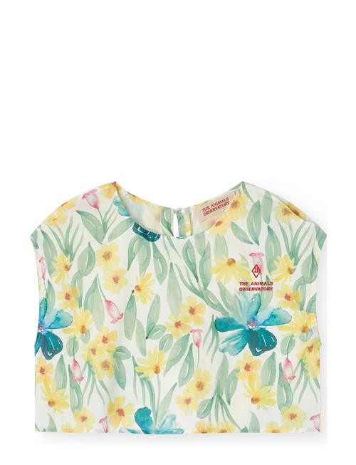 THE ANIMALS OBSERVATORY | Baboon Kid Top White | 4 Y