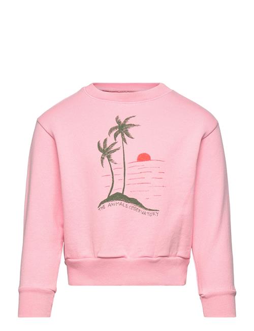 THE ANIMALS OBSERVATORY | Bear Kid Sweatshirt Pink | 6 Y