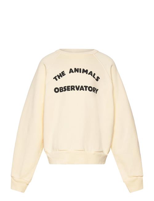 THE ANIMALS OBSERVATORY | Shark Kid Sweatshirt White Logo | 4 Y