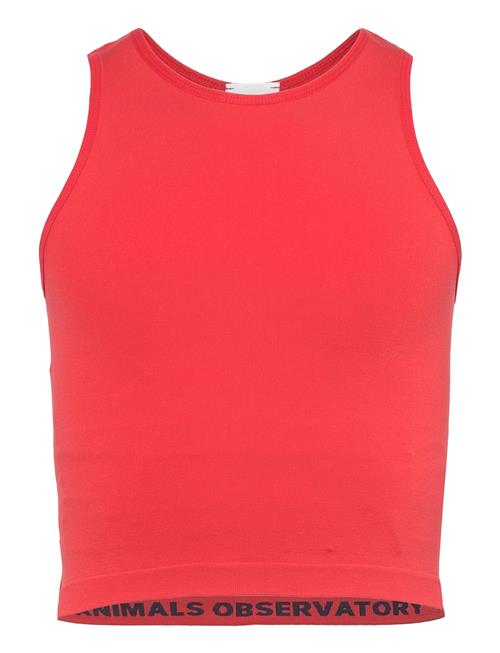 THE ANIMALS OBSERVATORY | Hyena Kid Tank Top Red | 45636