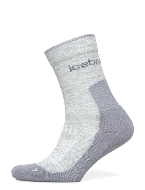 Icebreaker | W Mer Hike+ Light Crew | M