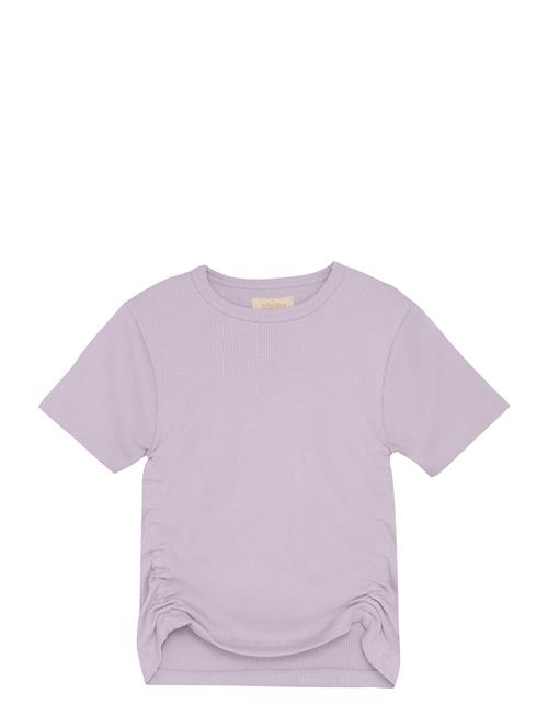 Creamie | T-Shirt Ss Rib | 104