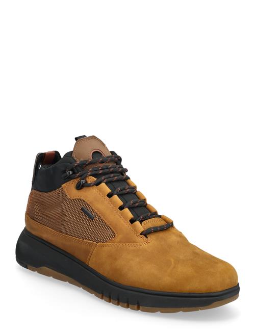 GEOX | U Aerantis 4X4 B Abx | 43