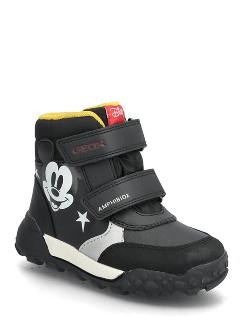 GEOX | B Trekkyup Boy B Abx | 25