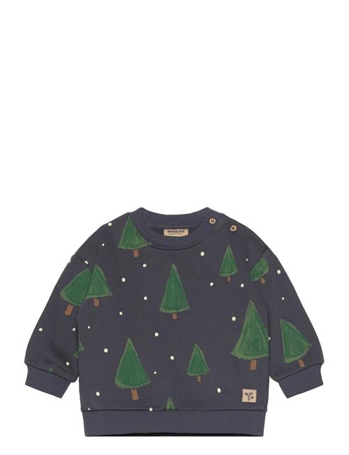 Wheat | Sweatshirt L/S Sandro | 92