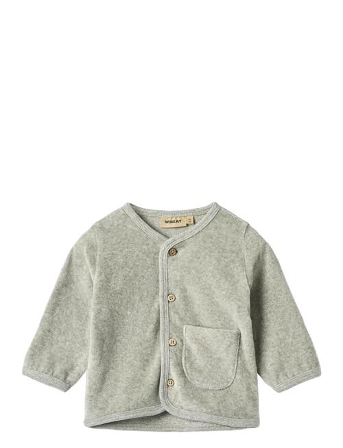 Wheat | Sweat Cardigan Toto | 56
