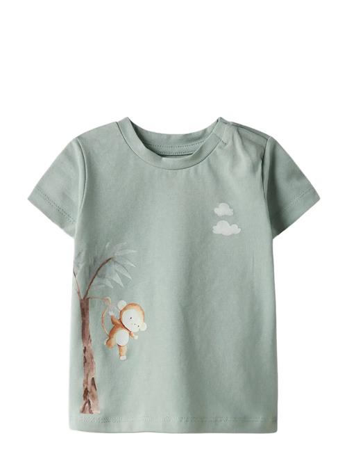 name it | Nbmharrison Ss Top Box | 56