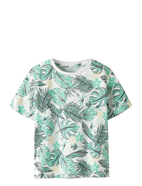 name it | Nmmvalmas Ss Nreg Top | 116