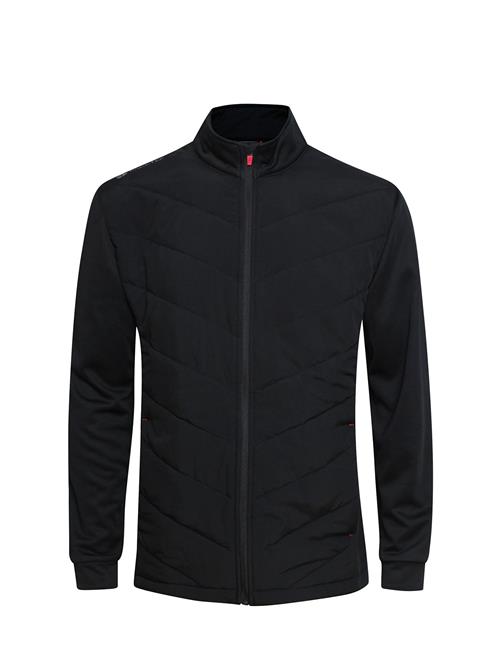 BACKTEE | Mens Hybrid Jacket | L