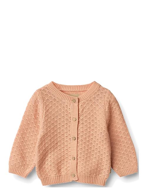 Wheat | Knit Cardigan Magnella | 62