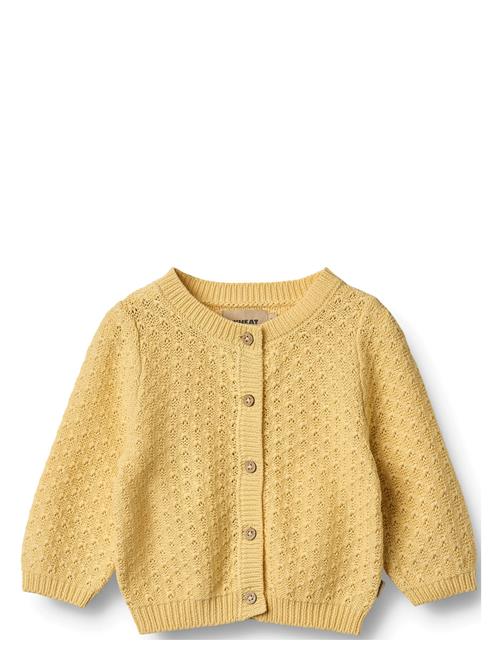 Wheat | Knit Cardigan Magnella | 68