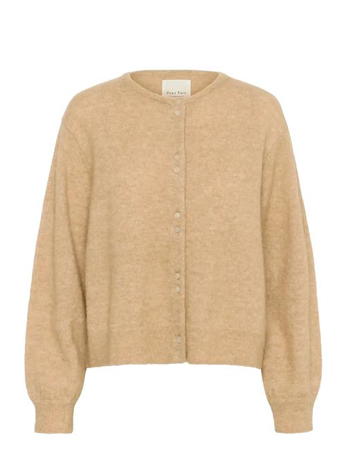 Part Two | Ninellpw Ca | XS