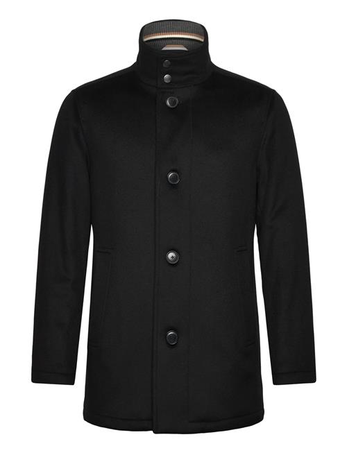 BOSS | H-Coxtan-234 | 58