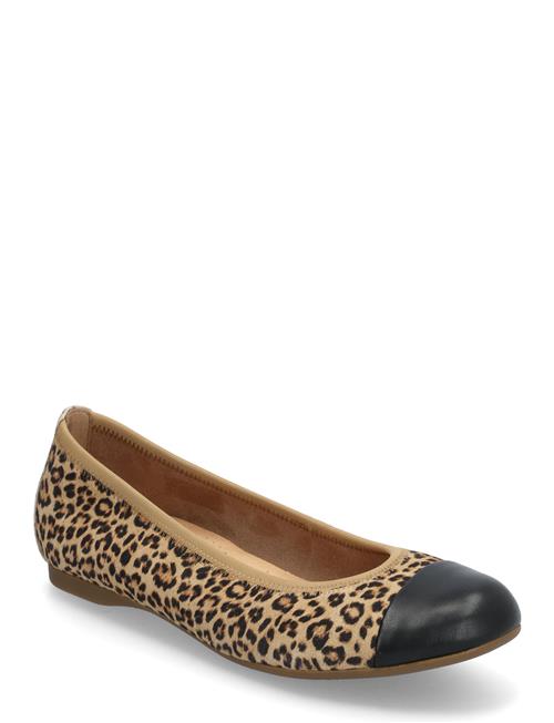 Gabor | Ballerina | 36