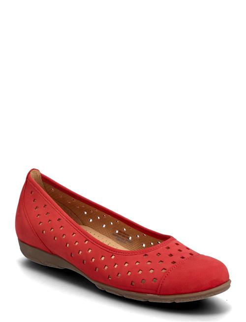 Gabor | Ballerina | 37.5
