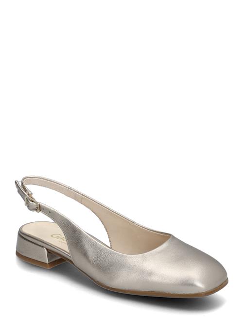 Gabor | Slingback | 35.5