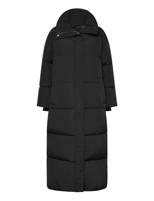 BOSS | C_Pyrani | 44