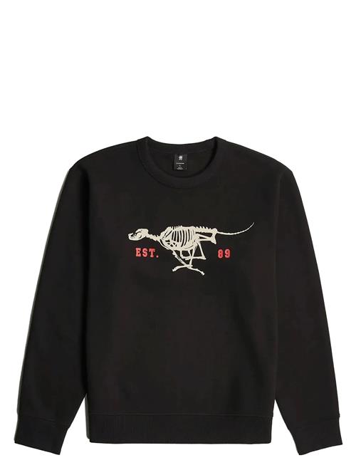 G-Star | Running Dog Back Gr R Sw | L