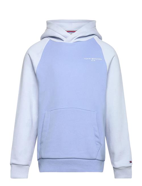 Tommy Hilfiger | Mini Corp Logo Hoodie | 128