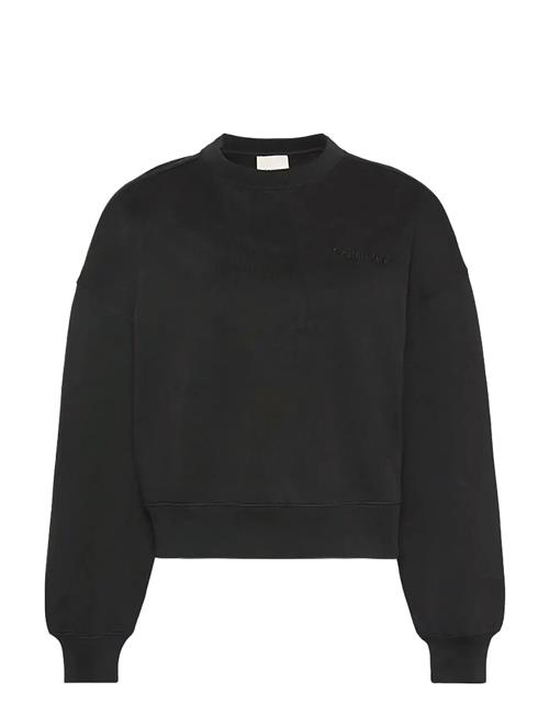 Calvin Klein | A- Logo Emb French Terry Crewnec | XXL