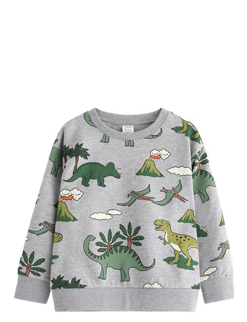 Lindex | Sweatshirt Dino Aop | 104