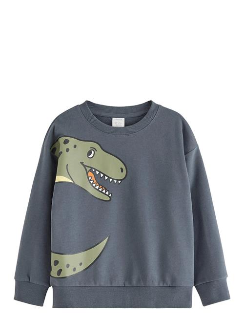 Lindex | Sweatshirt Dino Placement | 110