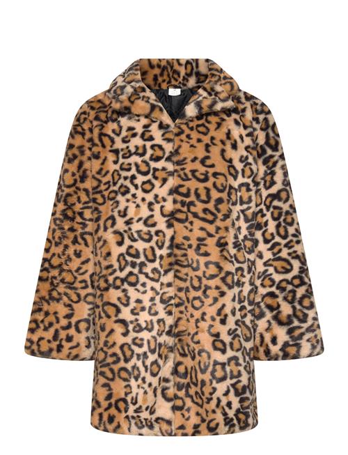 The New | Tnpam Jacket | 146/152